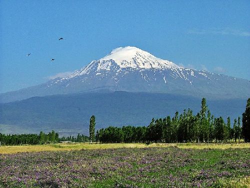 Ararat_2014_02.jpg