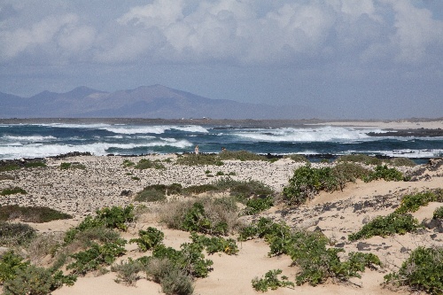 Fuerteventura_2011_11.jpg