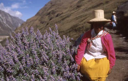 Suedamerika-Peru_1999_09.jpg
